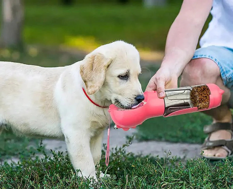 All-In-One Portable Pet Feeder: Simplified On-The-Go Pet Care